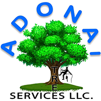 Adonai Tree Services, LLC