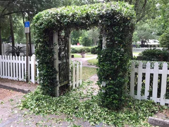 A white picket fence surrounds a gate covered in ivy.