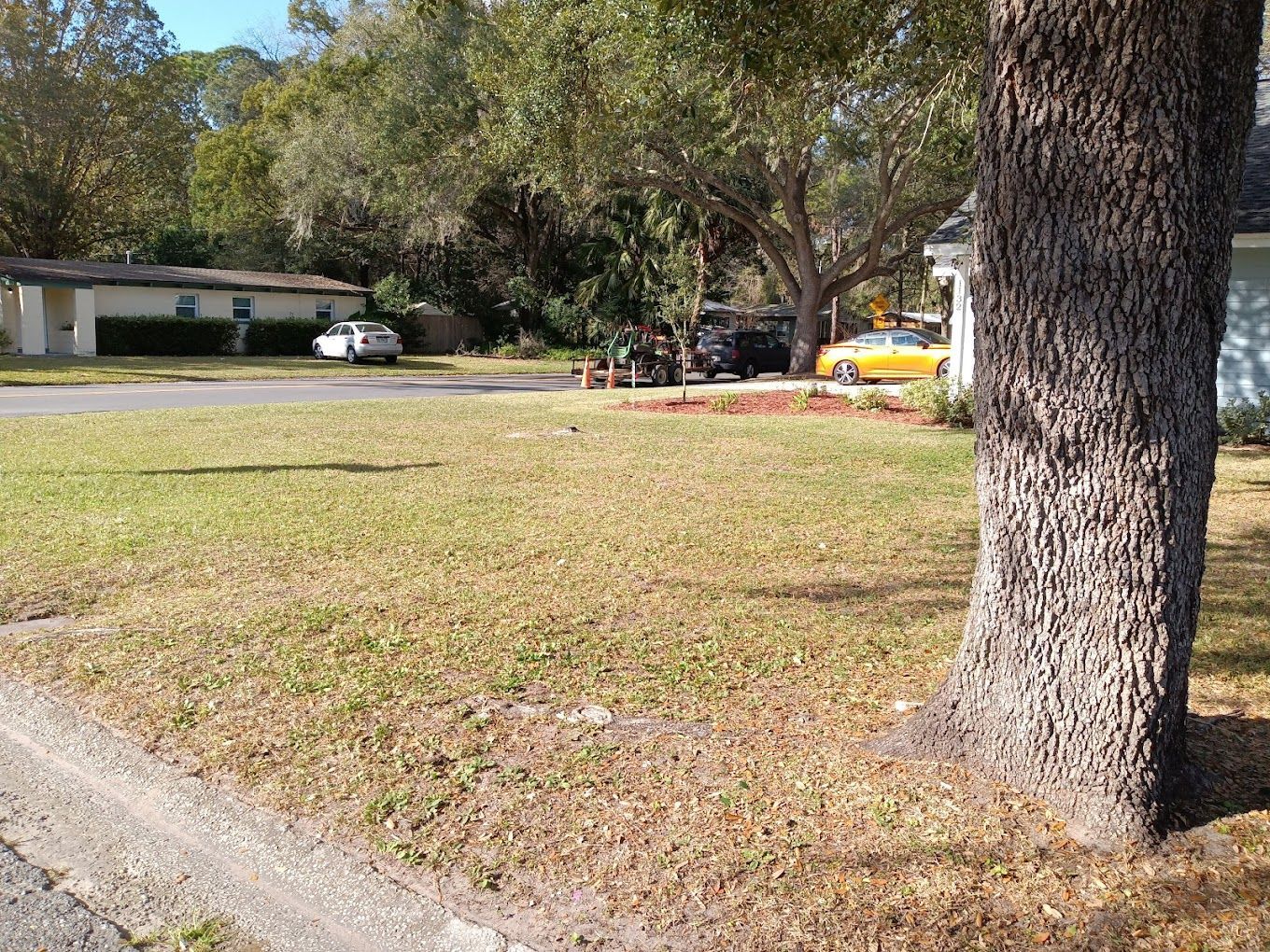 A tree trunk in the middle of a lush green field next to a house.