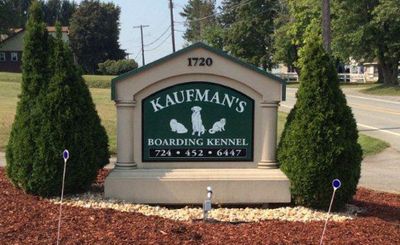 Pet Groomer Grooming Dog — New Brighton, PA — Kaufman's Boarding Kennel