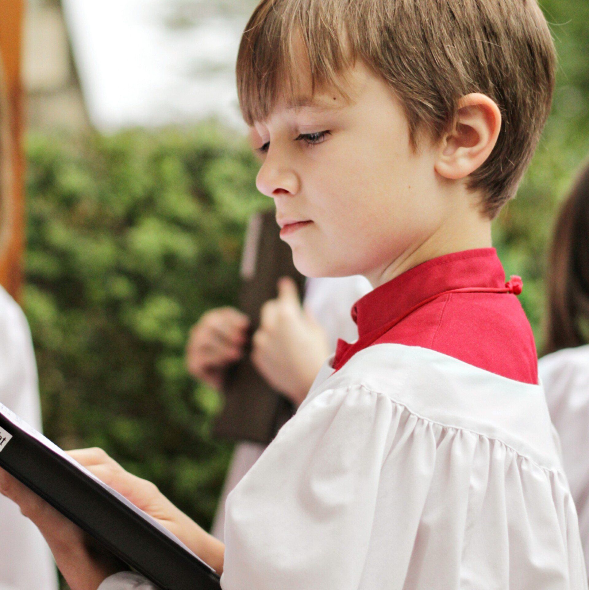 A young boy with a red collar is reading a book