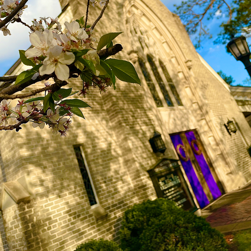 A church with a purple door and flowers in front of it