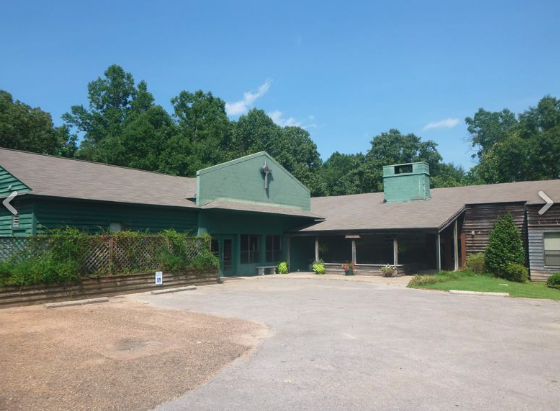 A large green house with a gray roof is surrounded by trees