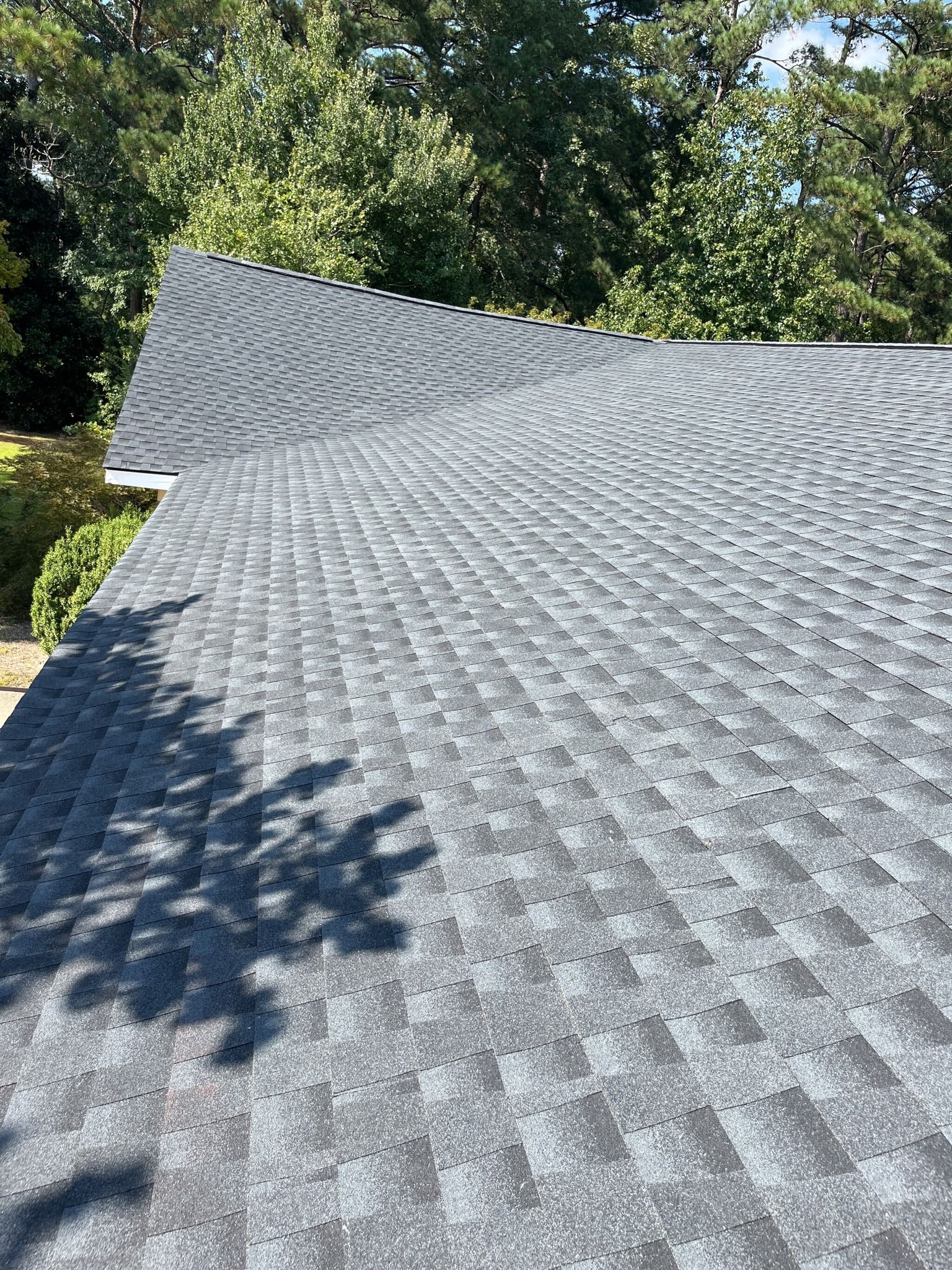 Gray asphalt shingle roof, sunlight casting shadows, set against trees and blue sky.