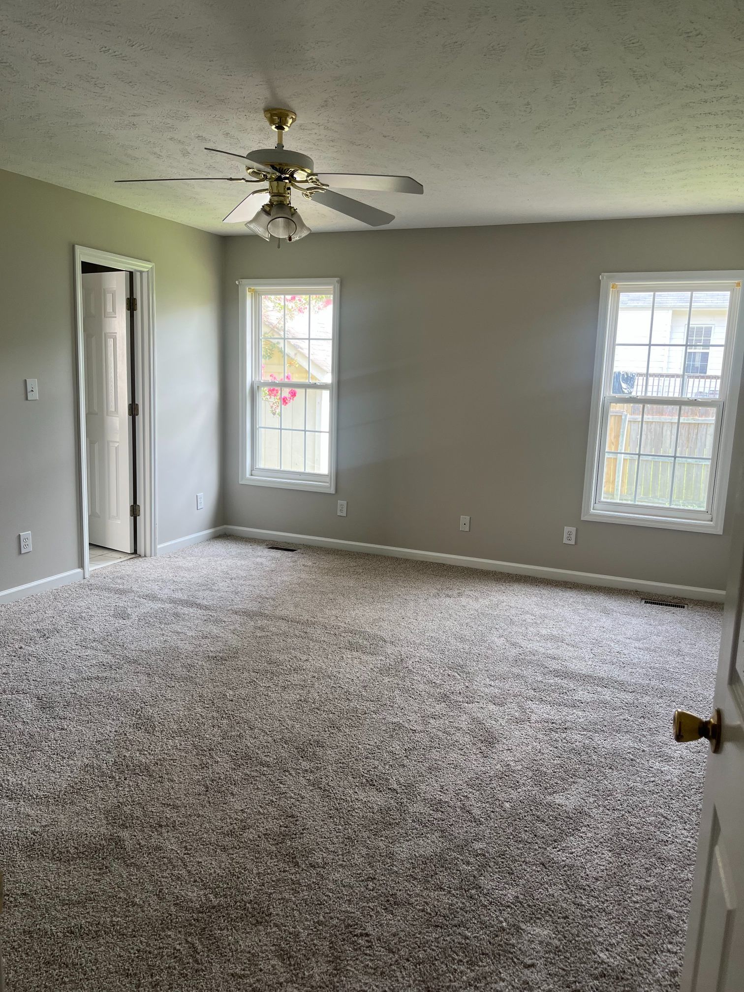 Empty bedroom with gray walls, beige carpet, two windows, and a ceiling fan.