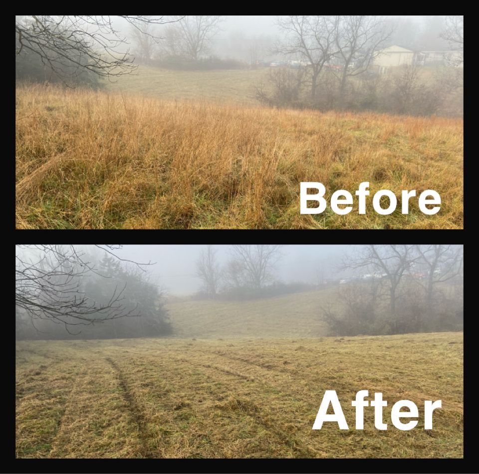 Comparison of a field before and after mowing. Tall, dry grass mowed to a shorter height. Misty conditions.