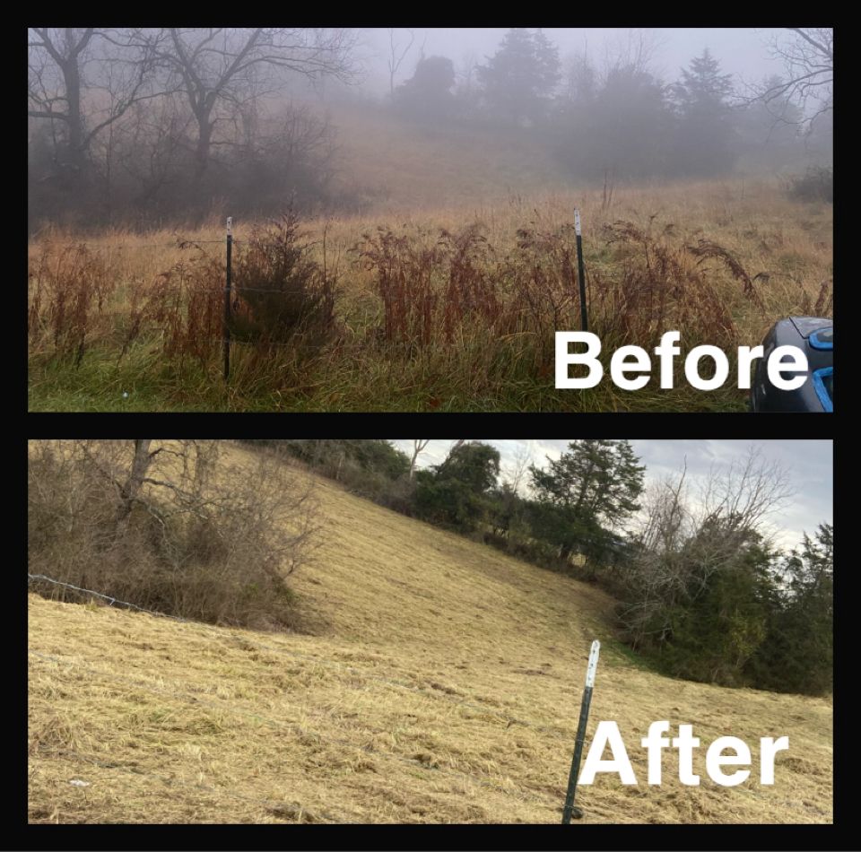 Before and after photos of a grassy hillside. The before image shows tall, dry grass in a field covered by fog. The after image shows the same field cleared of tall grass.