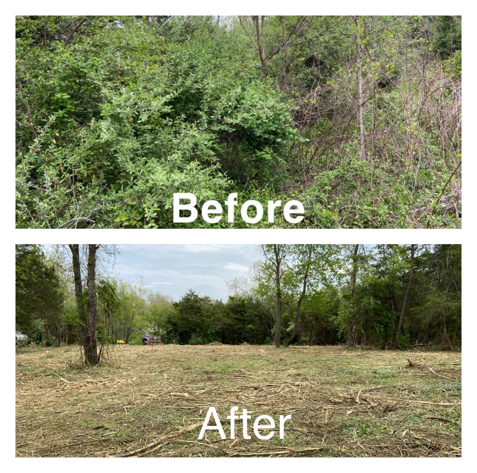 Side-by-side photos of a clearing. 