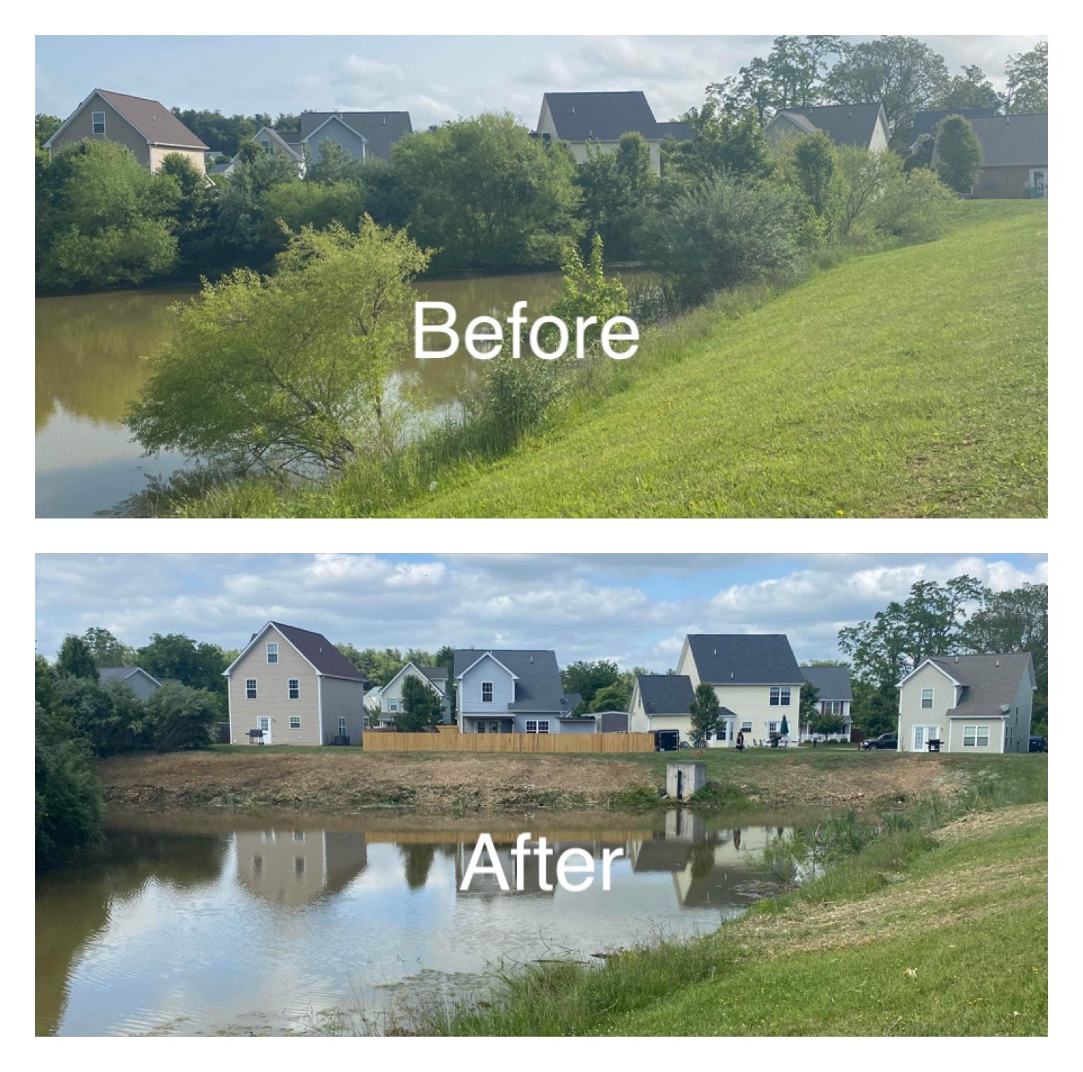 Before-and-after photos of a pond bank. The 