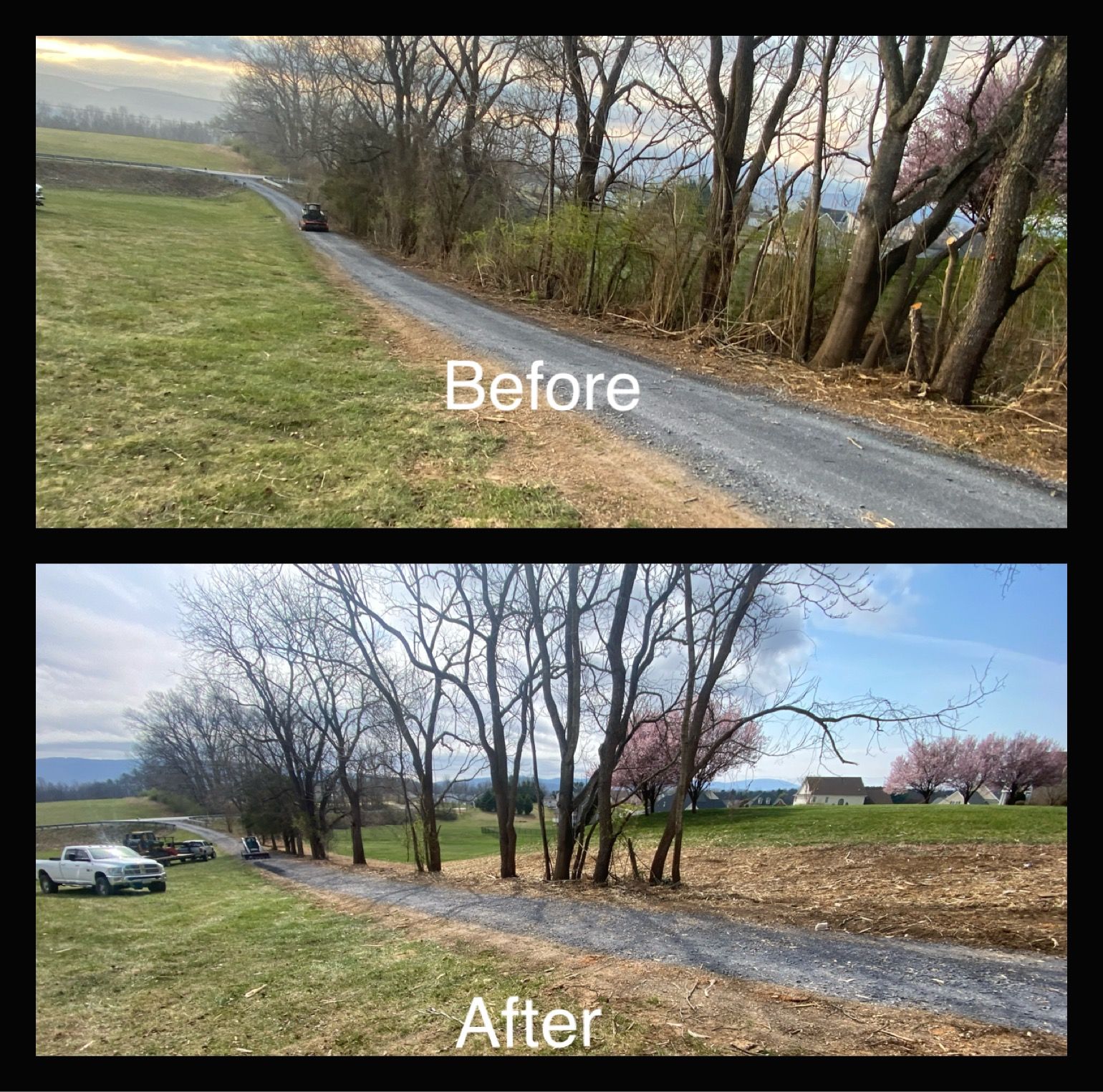 Comparison of a gravel road and grassy field before and after tree trimming.