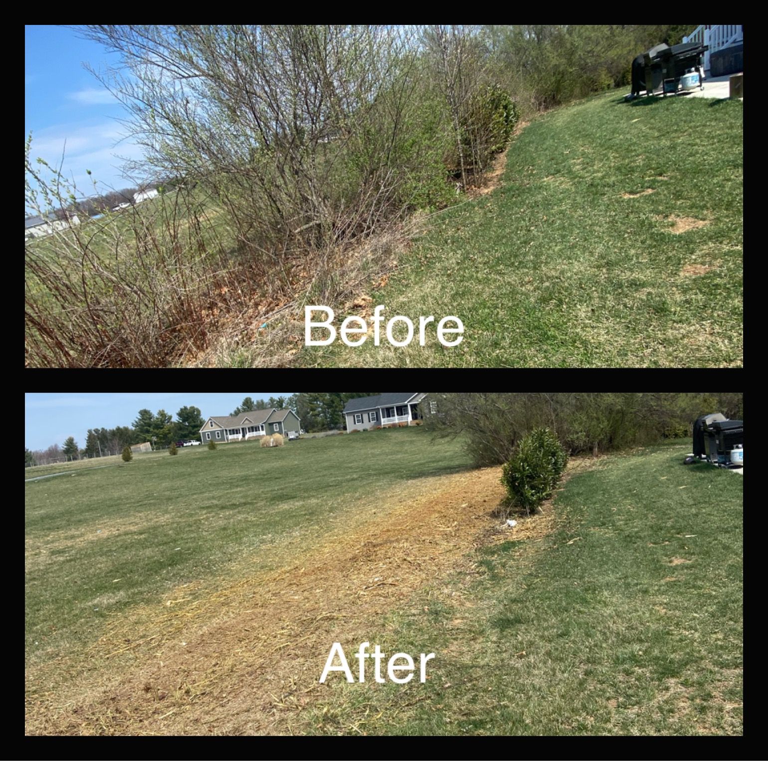 Before and after photos of a grassy hillside; the top photo shows overgrown bushes, and the bottom shows the cleared hillside.