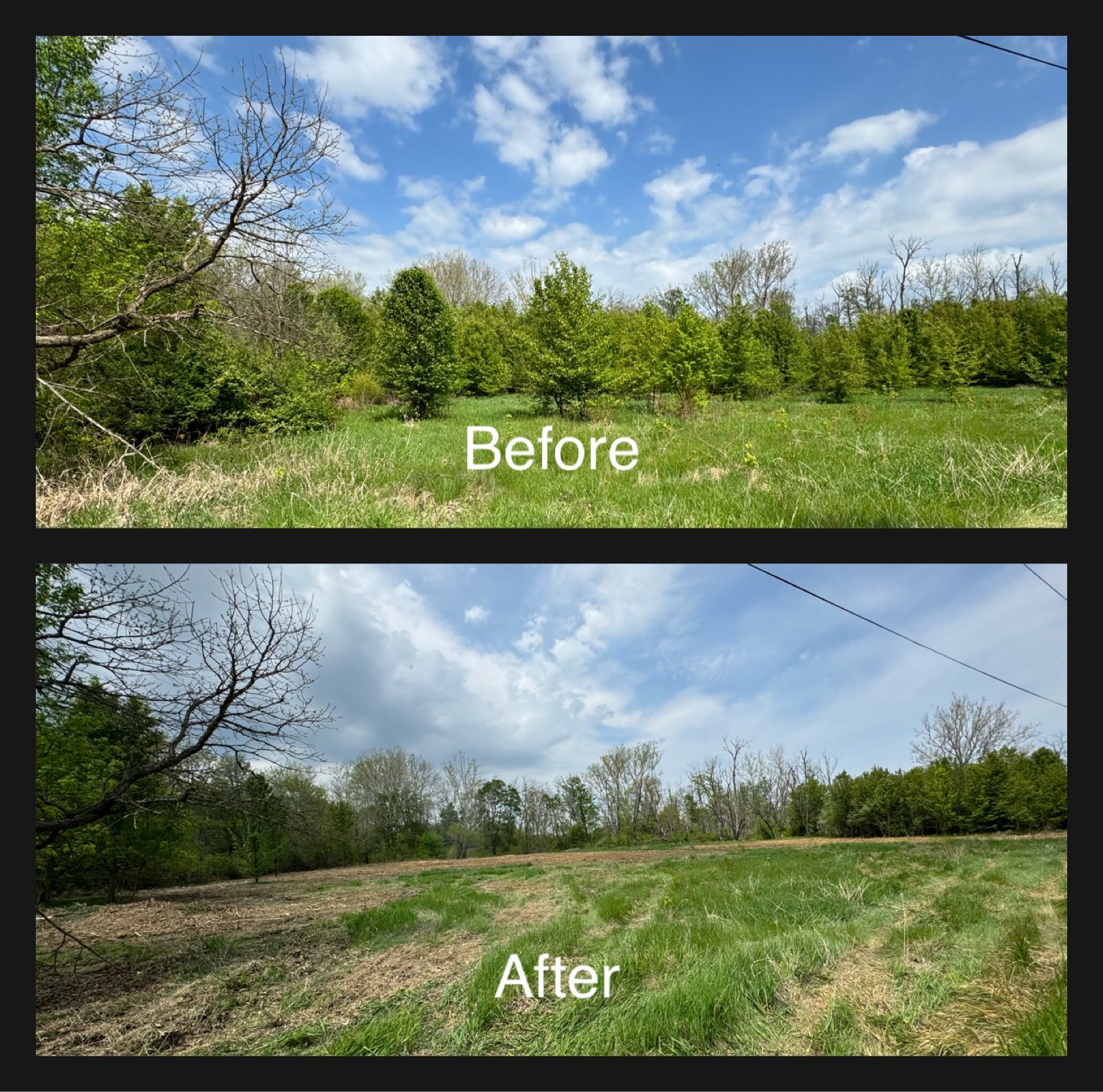 Comparison: Before, a green field with trees; After, the same field, trees cleared, showing new furrows.