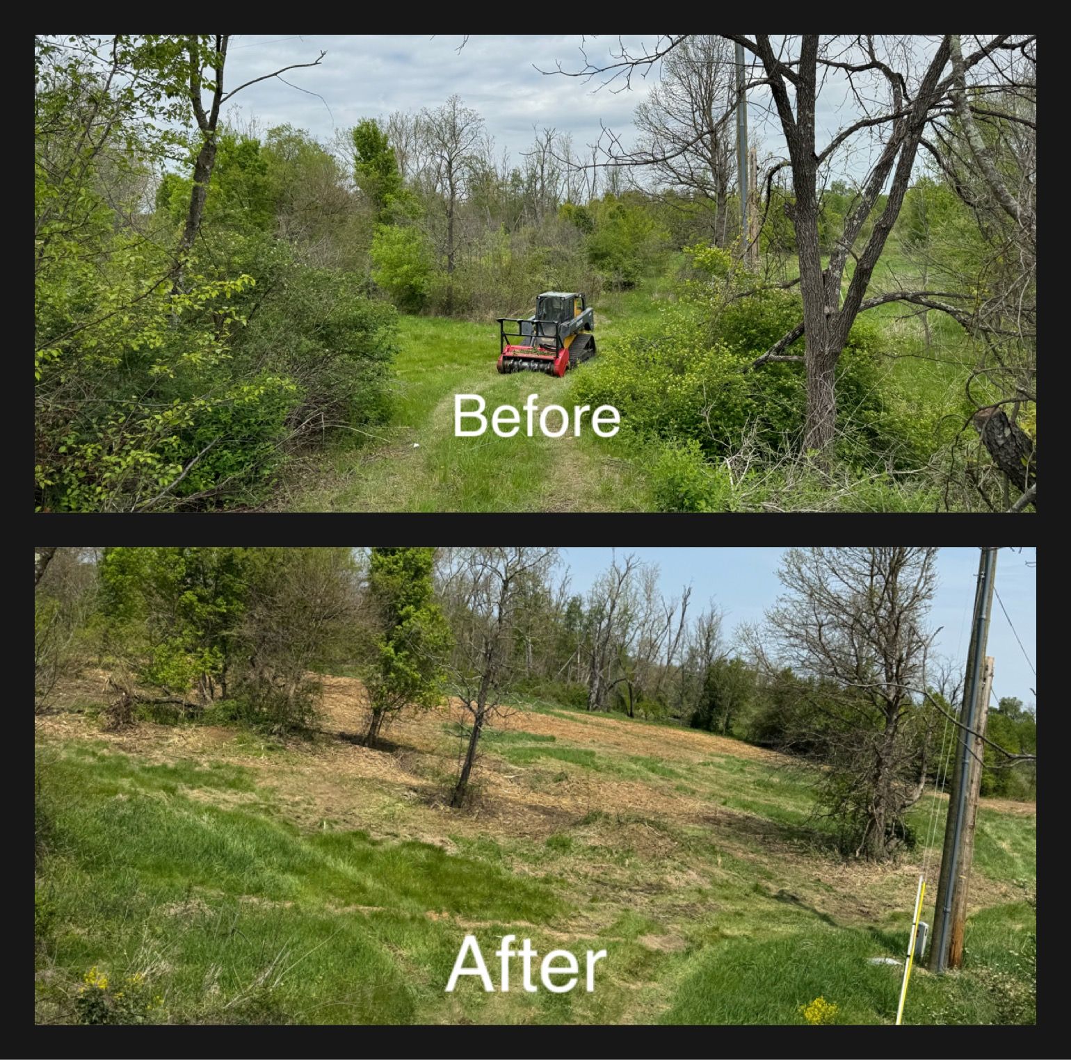 Before and after images of a wooded area being cleared. The after image shows much of the vegetation removed.