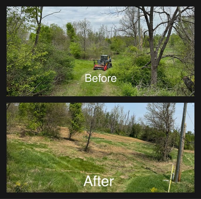 Before and after shots of a grassy clearing.  A skid steer is in the 'before' photo, trees cleared in the 'after' photo.