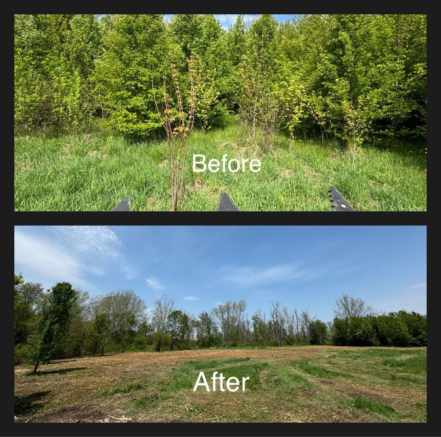 Before and after photos: wooded area cleared for field, green grass to bare earth under blue sky.