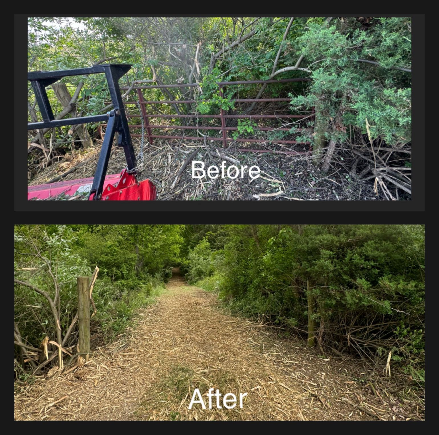 Before and after: clearing brush to create a trail. Top shows an overgrown area, bottom a clear path.