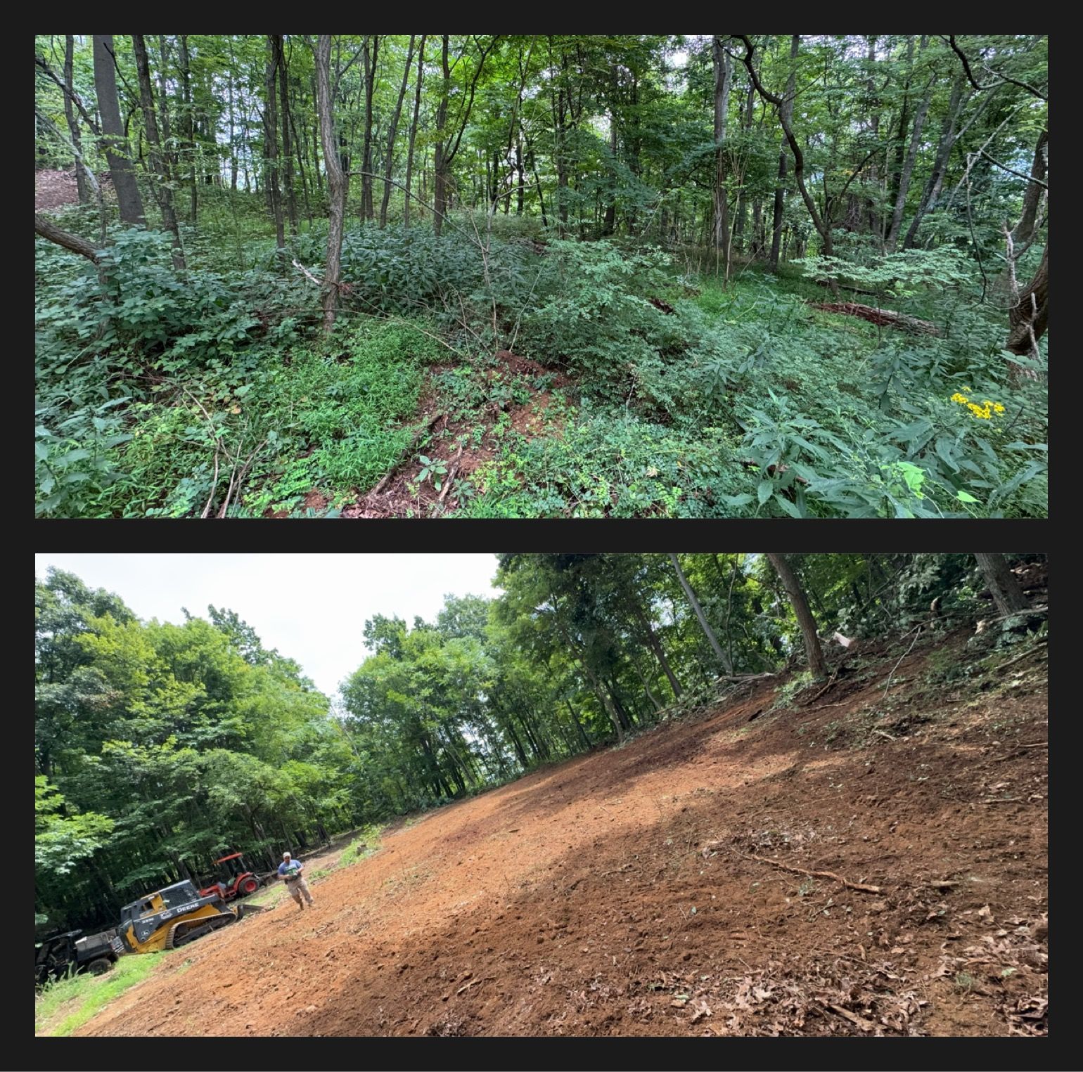 Top: Overgrown hillside with dense vegetation. Bottom: Excavated hillside with heavy machinery.