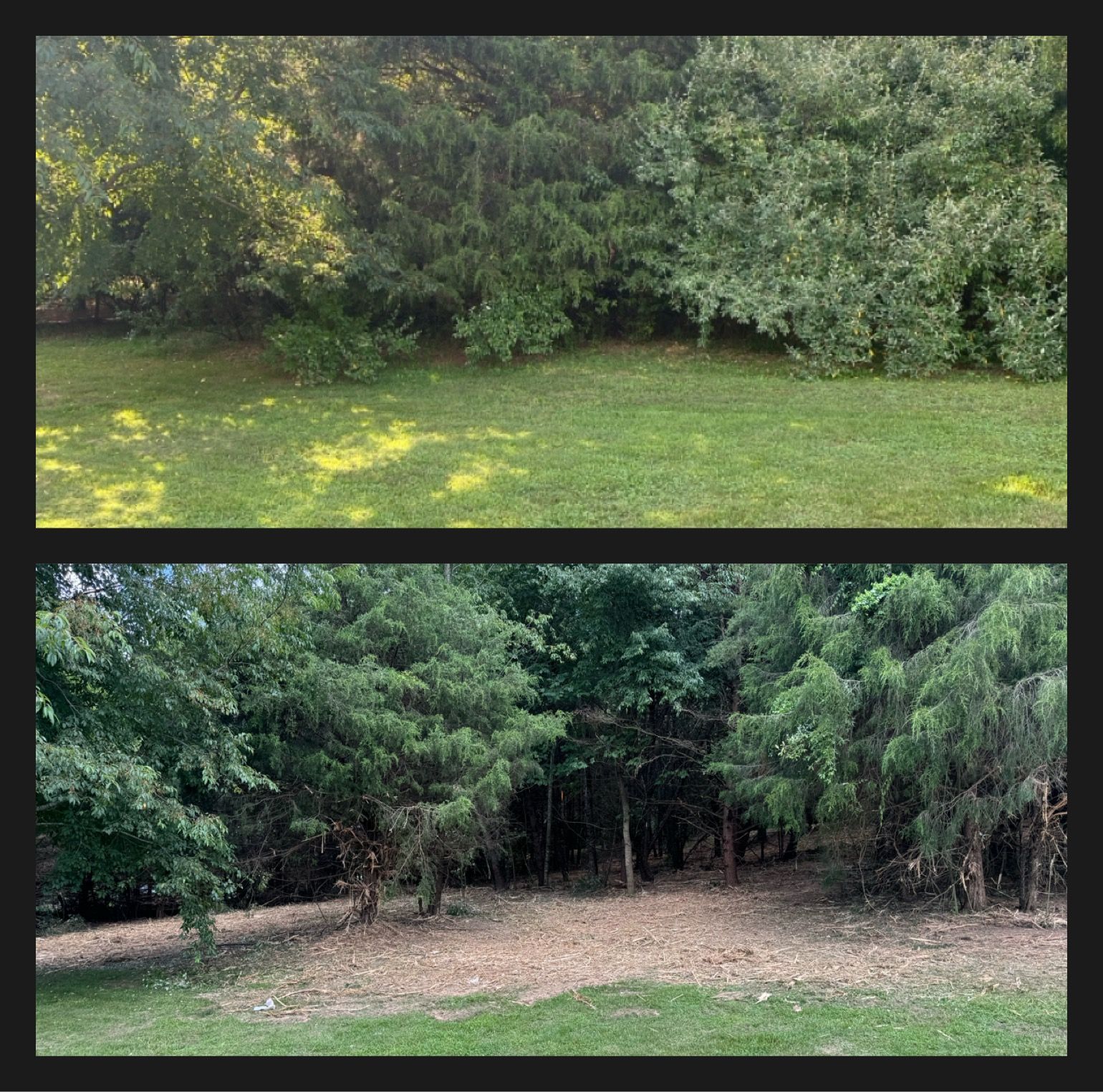 Top: Green grass, trees. Bottom: Trees, brown ground.