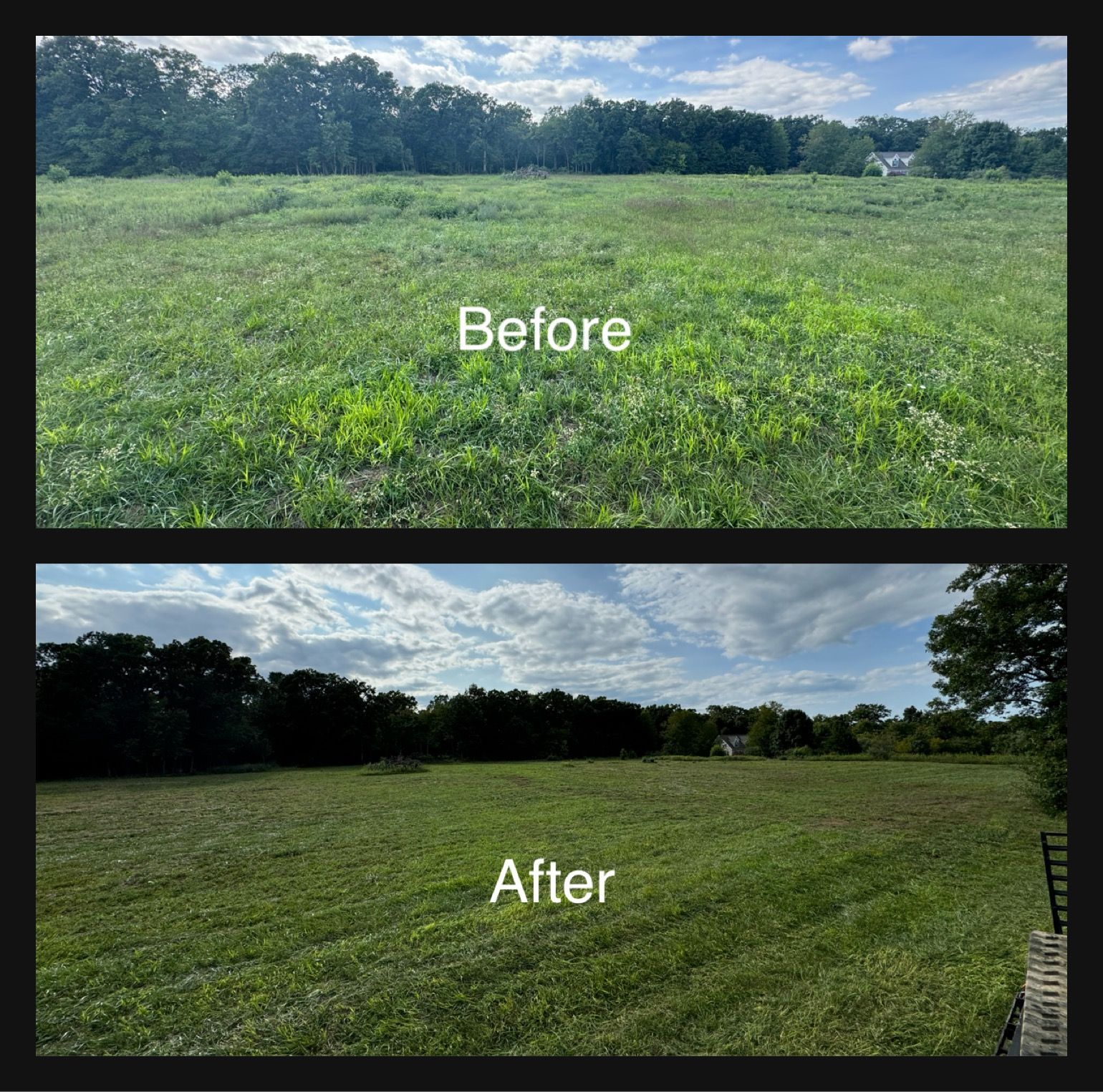 Comparison of a grassy field before and after mowing.