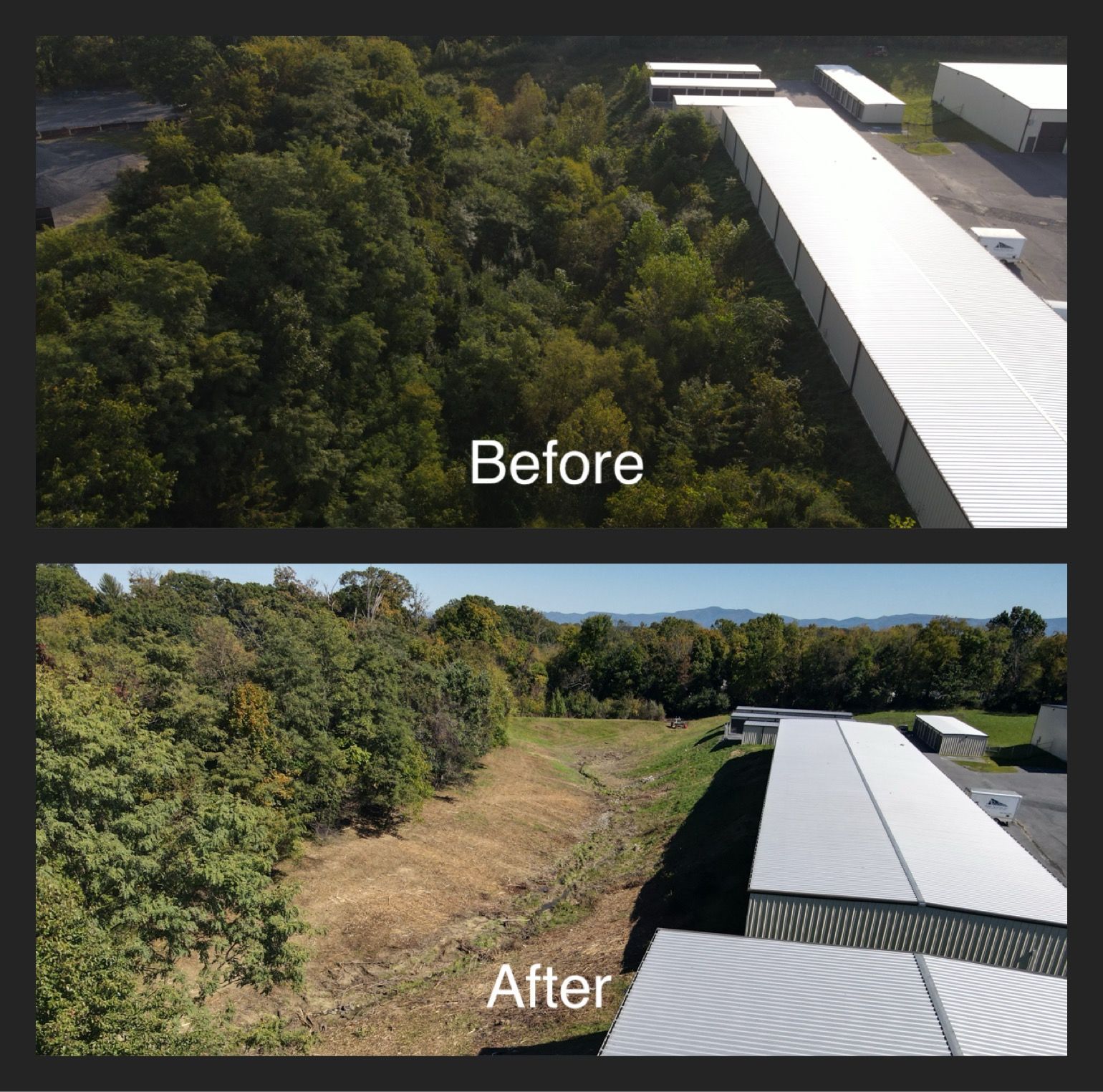 Before and after aerial views: clearing of trees next to a building with a white roof.