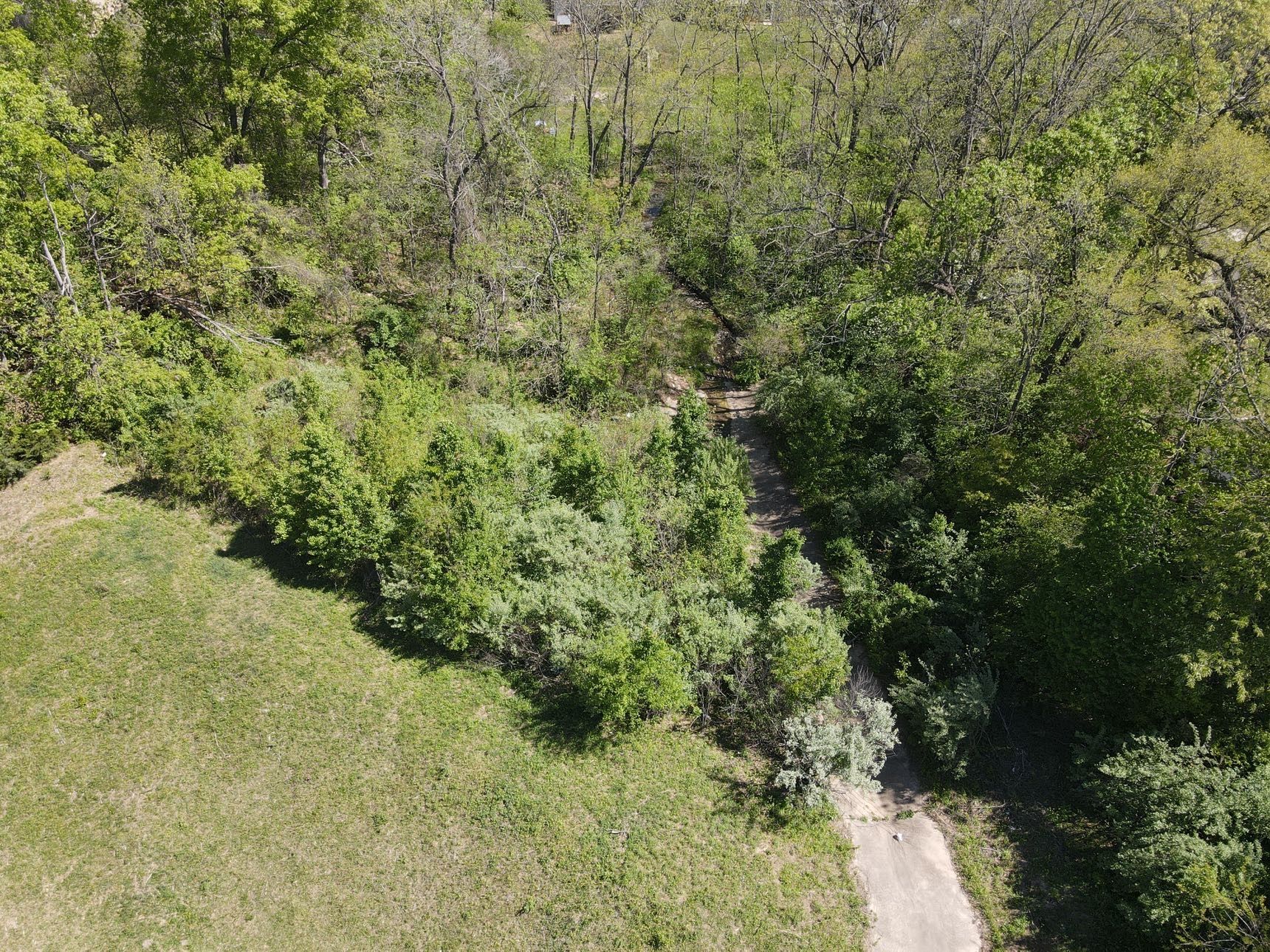 Grassy area with a path leading into a tree-filled area on a sunny day.