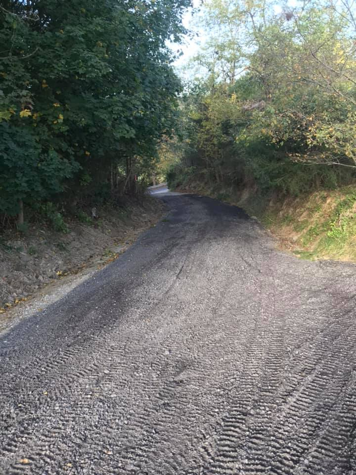 Gravel road winding through a wooded area with tire tracks visible.