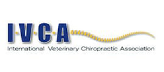 Logo der International Veterinary Chiropractic Association
