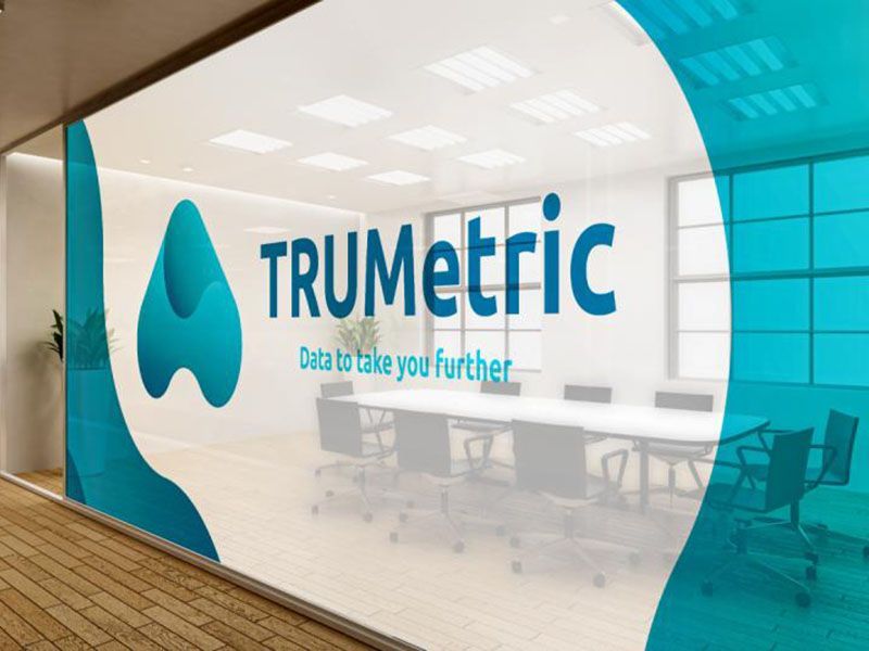 5. Window Graphics & Wall Murals