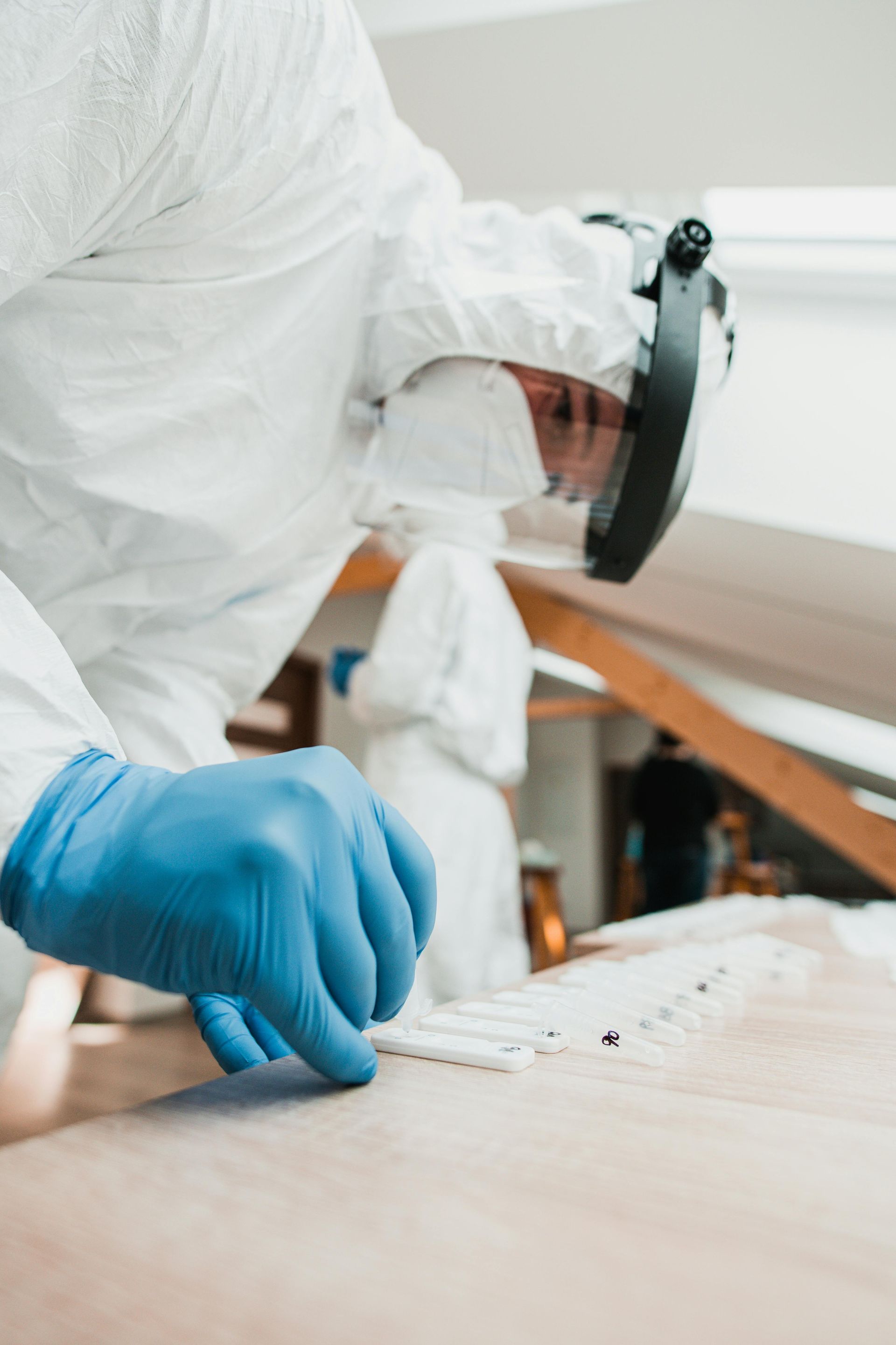 Environmental technician collecting various swab samples for mold.
