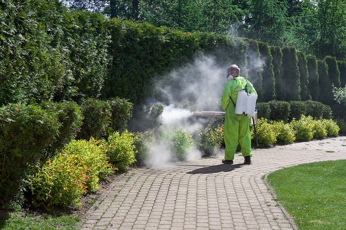 pest control worker fogging insecticide smoke