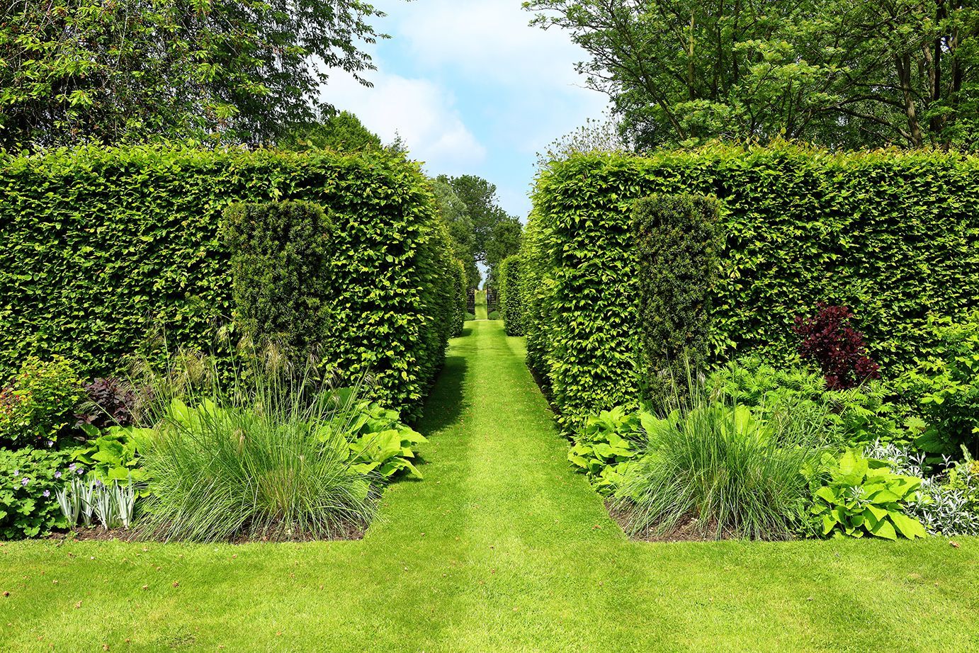 formal landscape garden grass path between