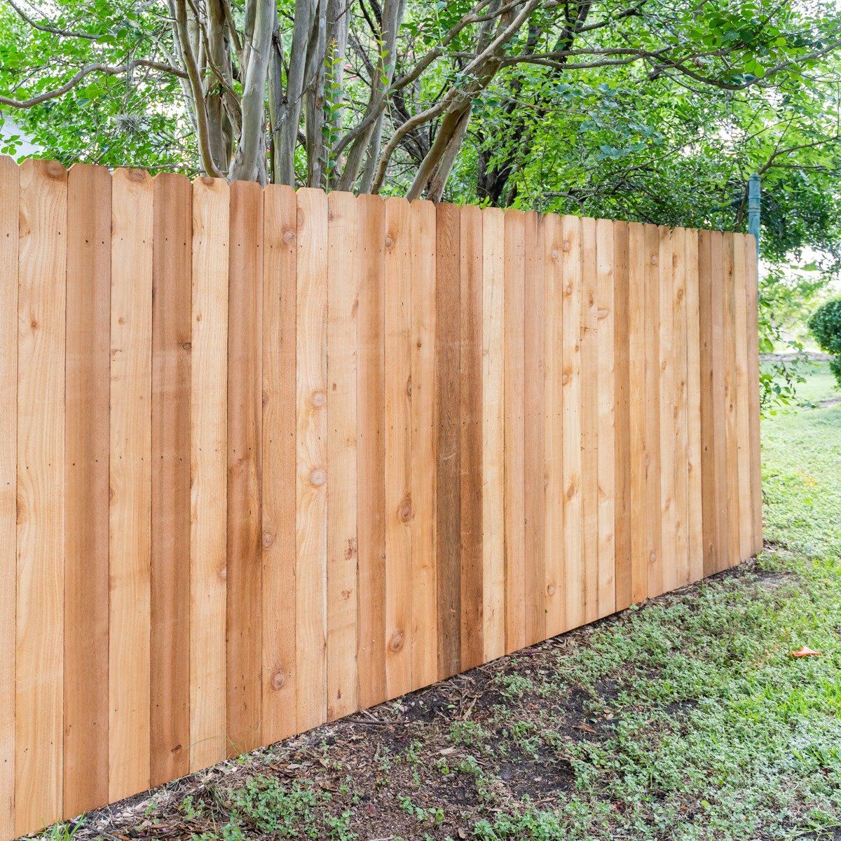 A wooden fence is surrounded by trees in a yard.