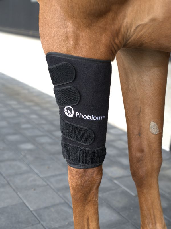 Phobiom therapie beenkap -rechts