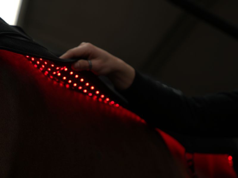 Paard onder behandeling van Phobiom therapiedeken