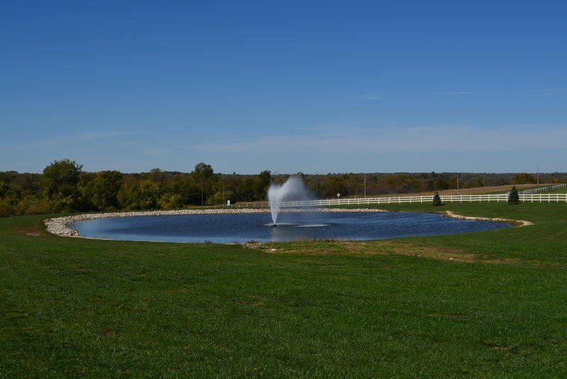 A large pond with a fountain in the middle of a grassy field.