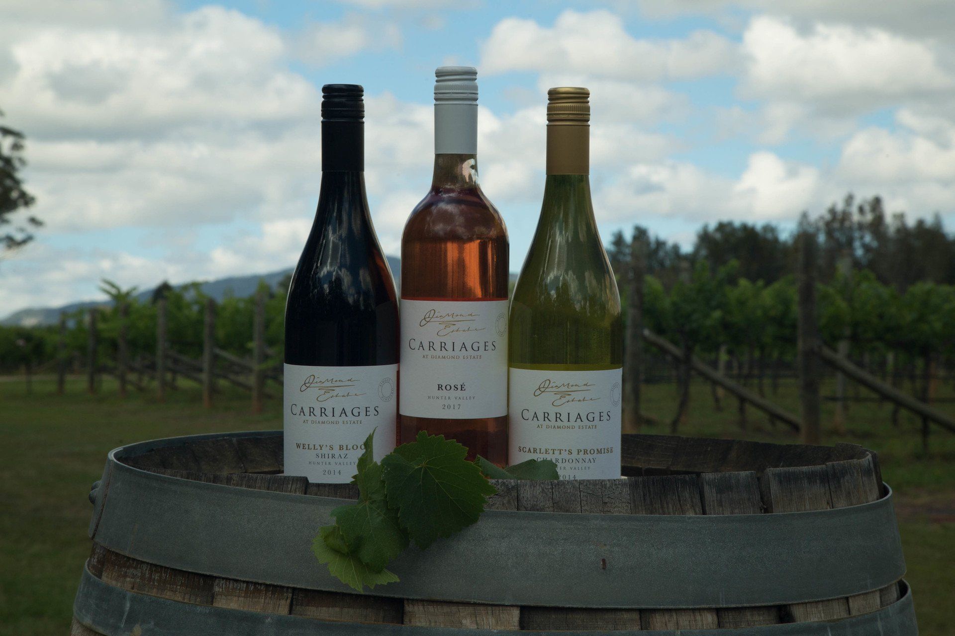 Online Wine Shop in Hunter Valley | The Carriages