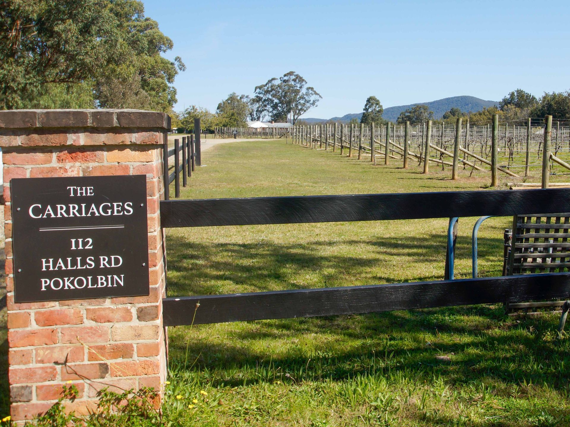 Drive through the vineyard to your accommodation.
