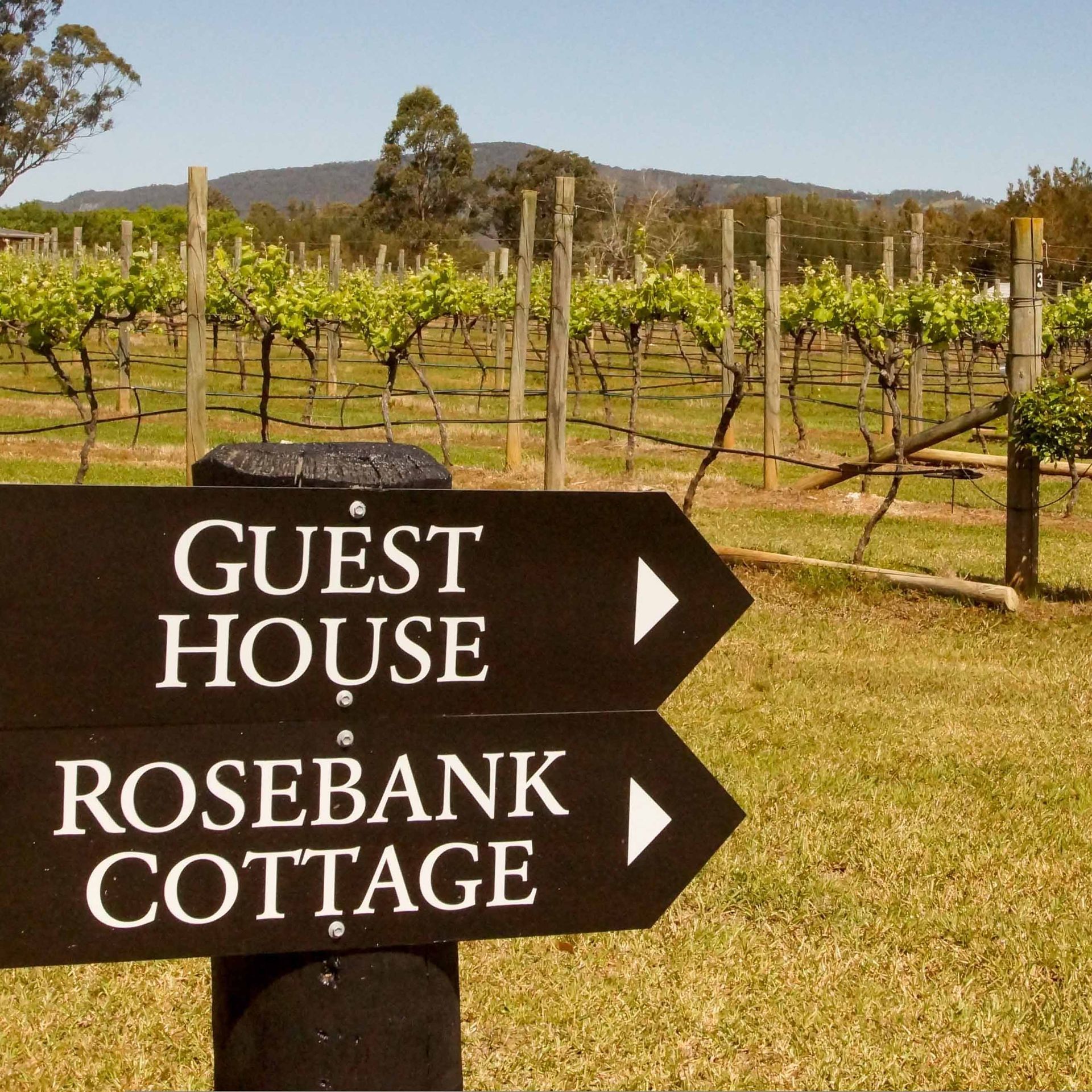 Easy directions through the vineyard.