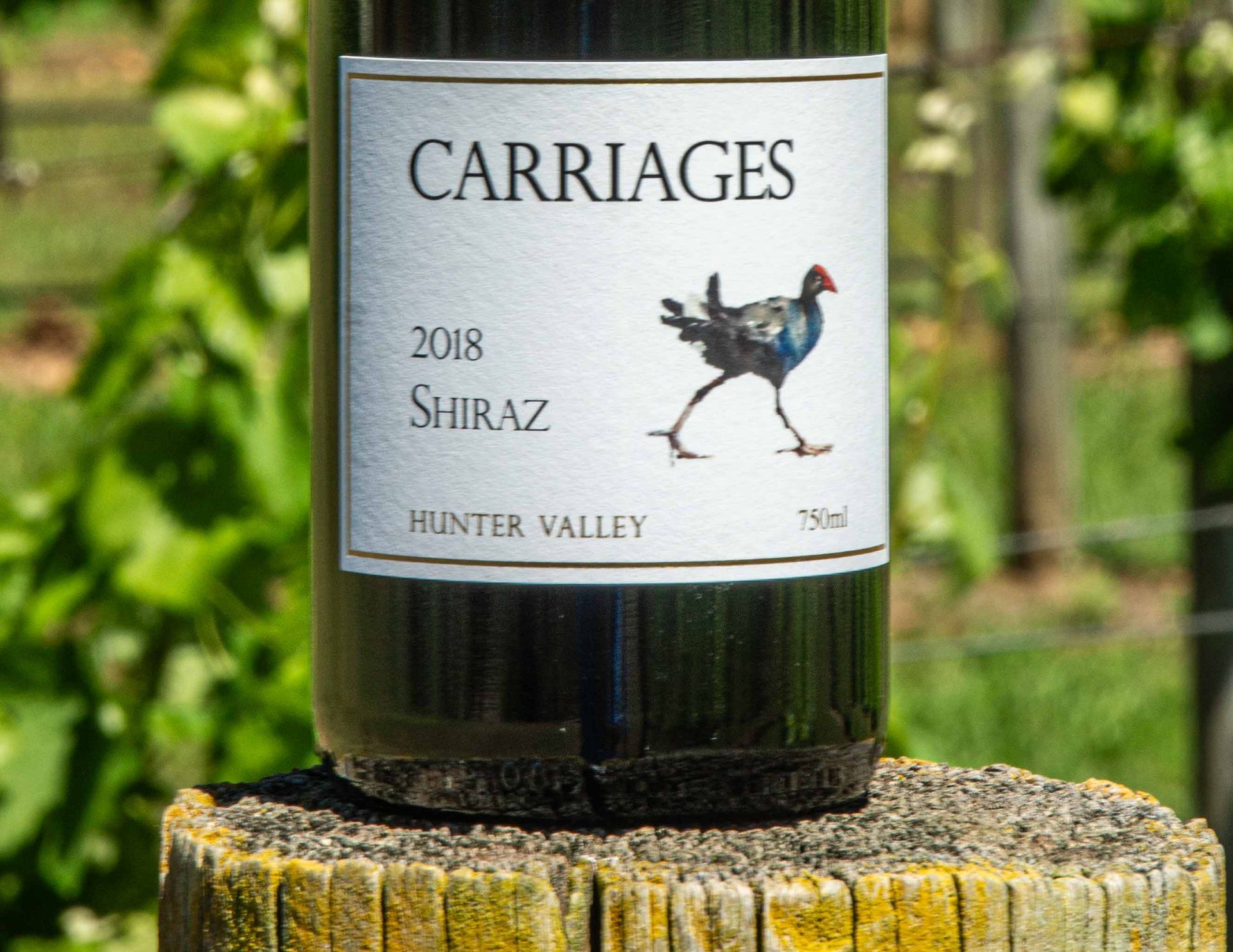 Close up image of Welly's Block Shiraz next to two wine glasses.