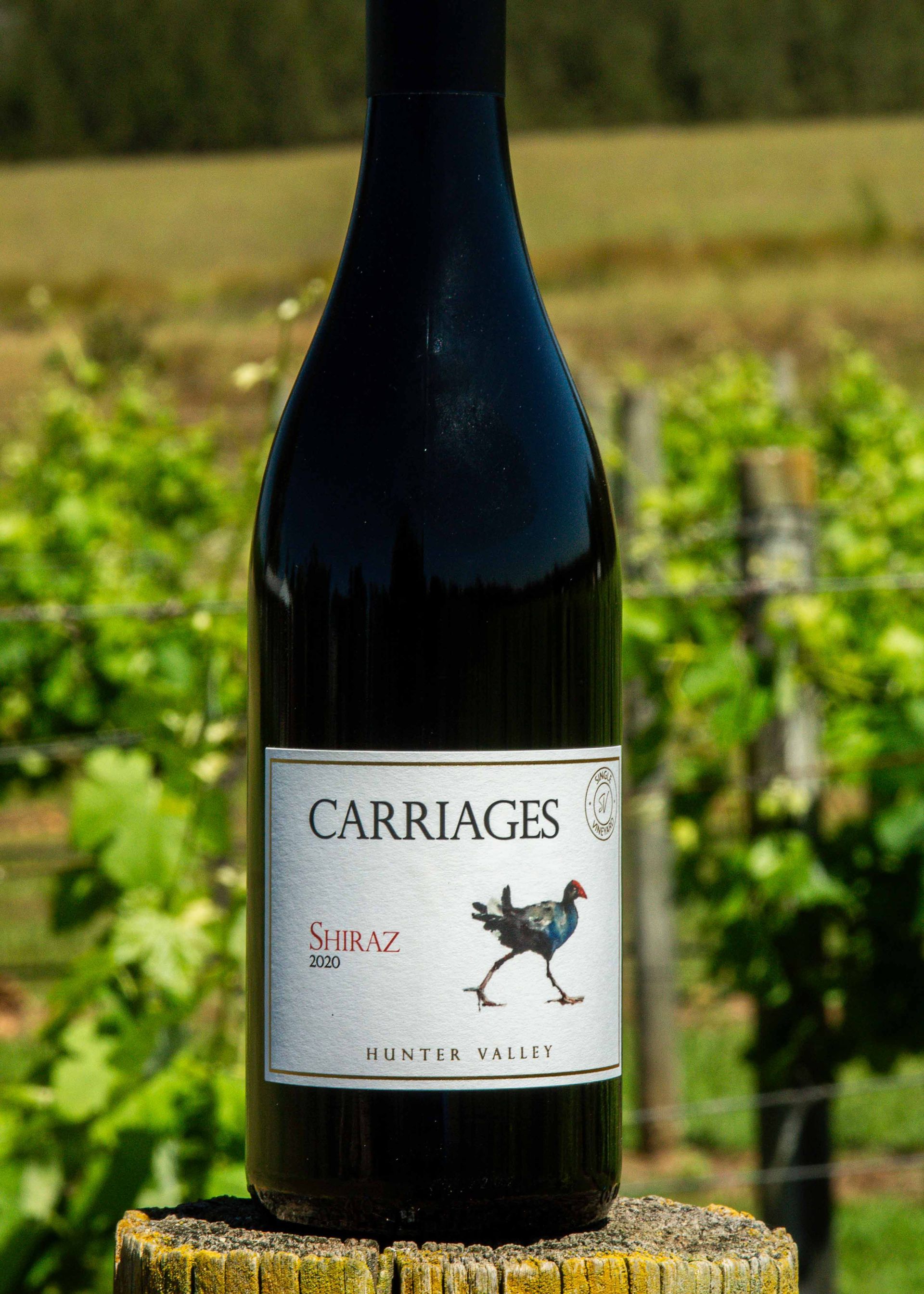 Close up image of Welly's Block Shiraz next to two wine glasses.