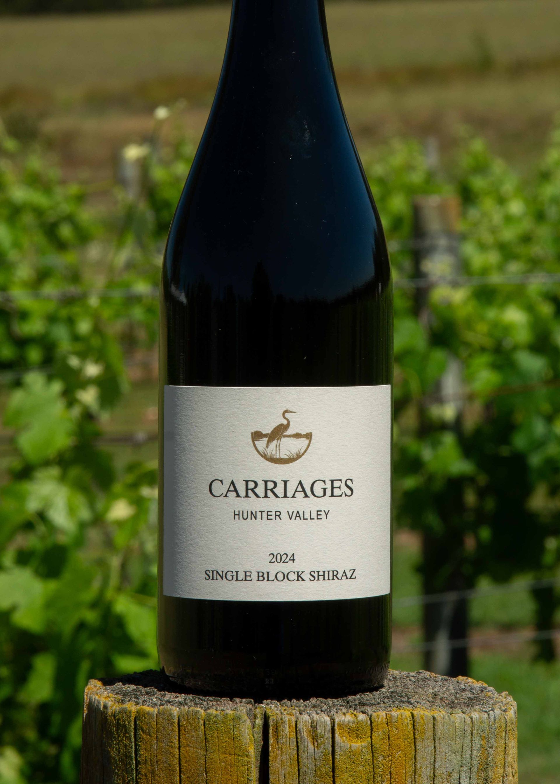 Close up image of Welly's Block Shiraz next to two wine glasses.