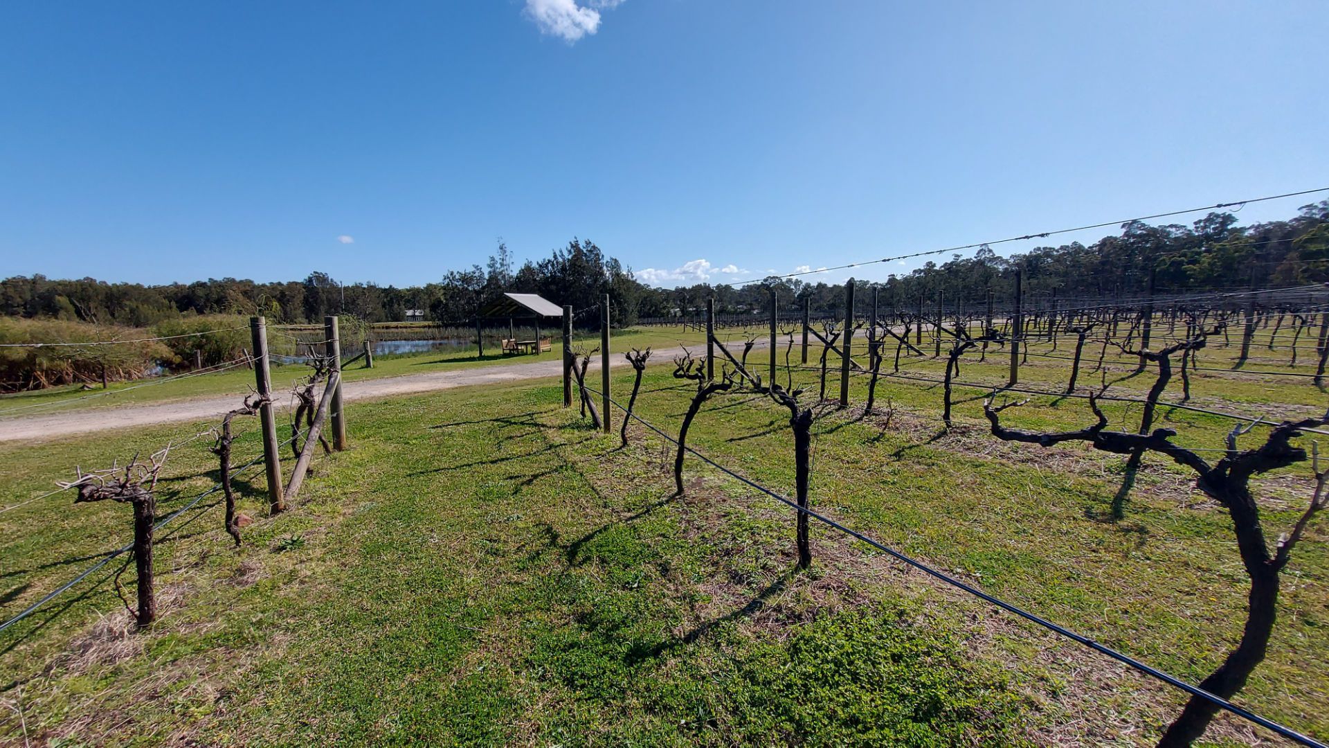 Boutique Hotel in the Hunter Valley