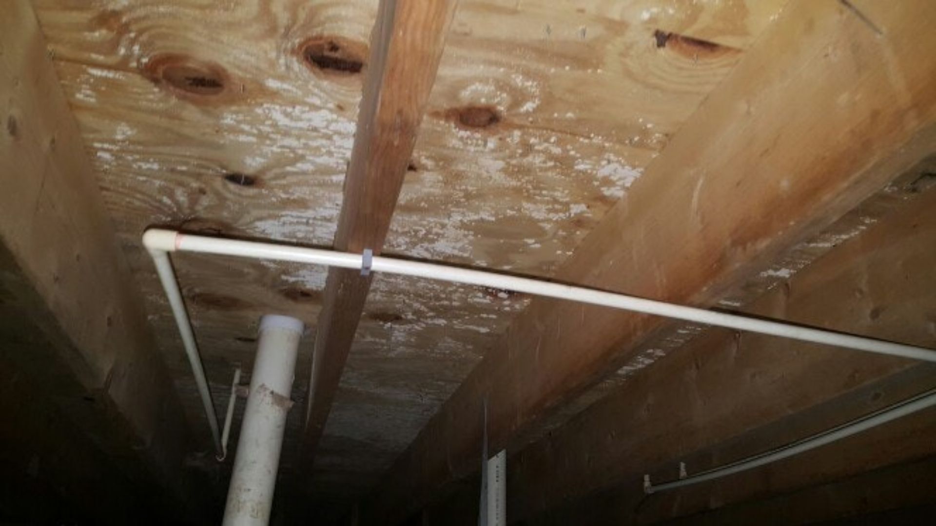 Foundation, Basement & Crawl Space Services in Charlotte, NC
