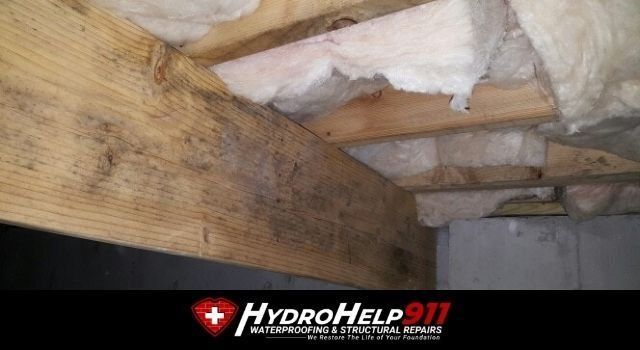 Portsmouth, VA Mold Removal - HERO MOLD REMOVAL