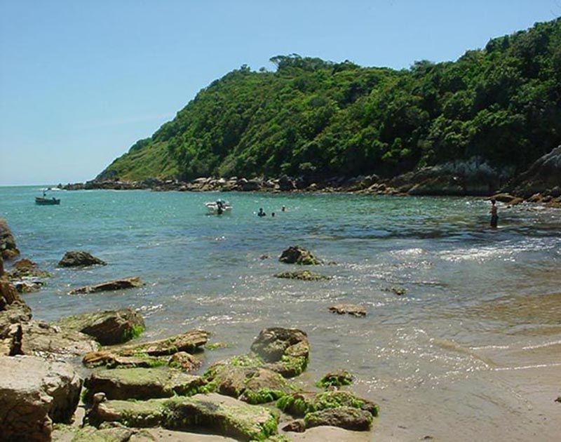 Uma enseada ensolarada com uma praia de areia, rochas cobertas de musgo em primeiro plano e pessoas nadando em águas calmas e turquesas.