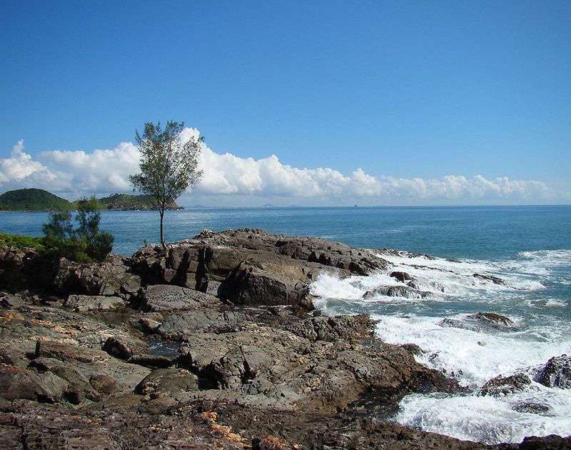 Uma costa rochosa com uma única árvore imponente debruçada sobre o oceano azul sob um céu claro e ensolarado.