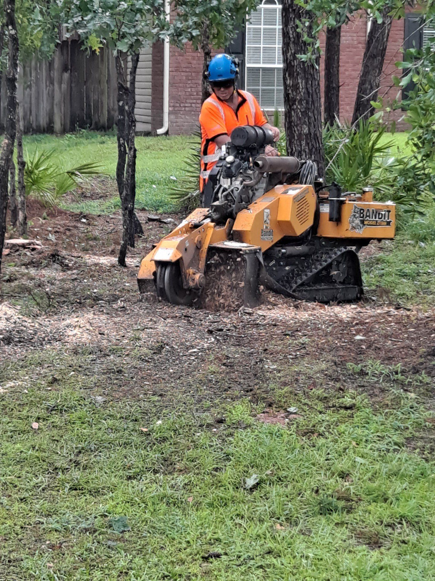 Stump Grinding in Miramar, FL | Pearce Tree &  Stump Service