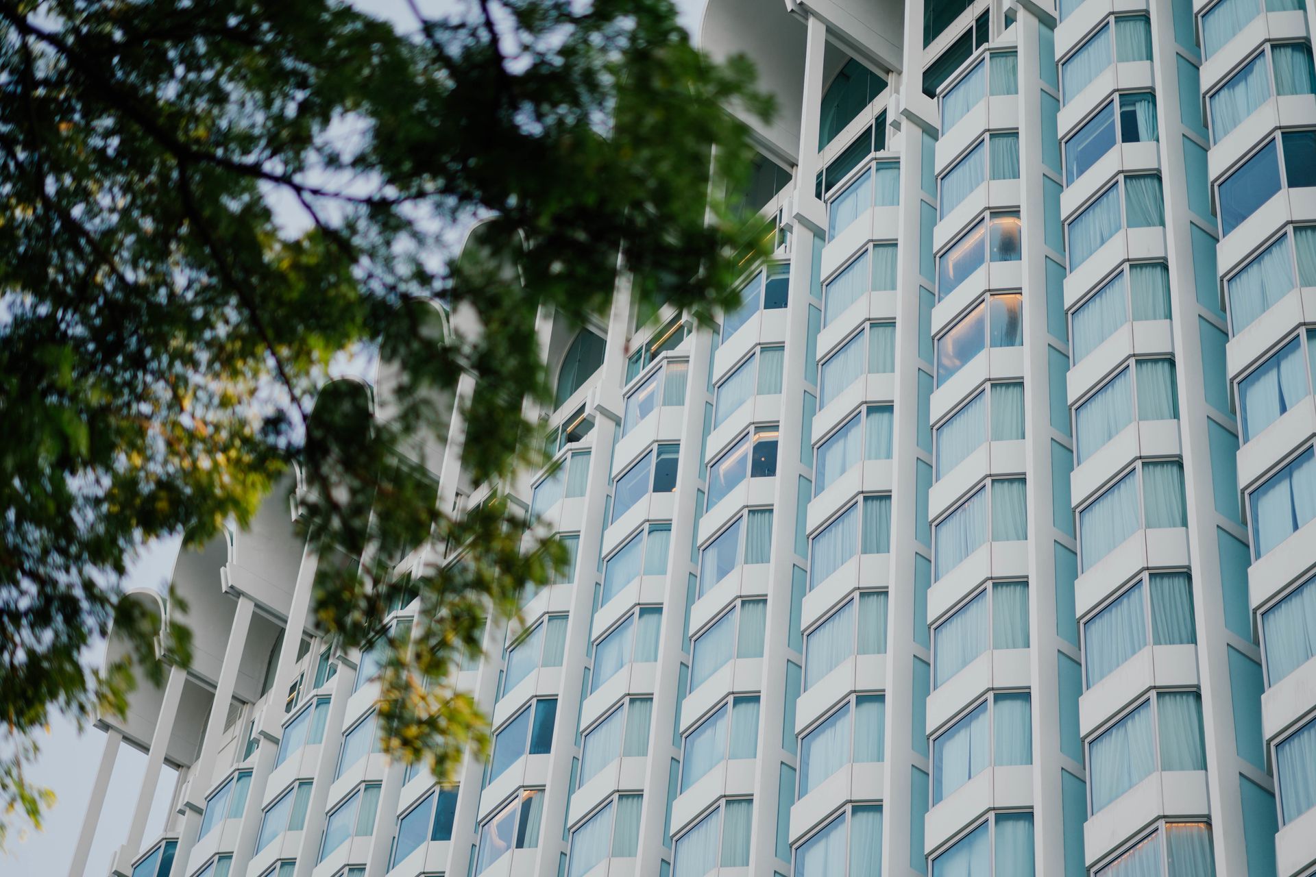 Un edificio alto y blanco con muchas ventanas y balcones de cristal, visto desde abajo, con ramas de árboles en primer plano.