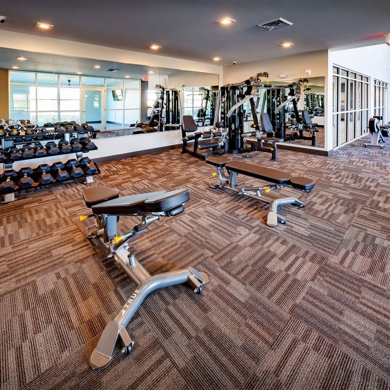 A large gym with a lot of dumbbells and a bench at Flats at Stones Crossing.