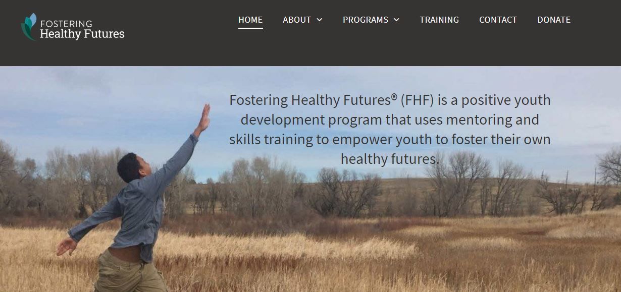 Fostering Healthy Futures home page screen shot.